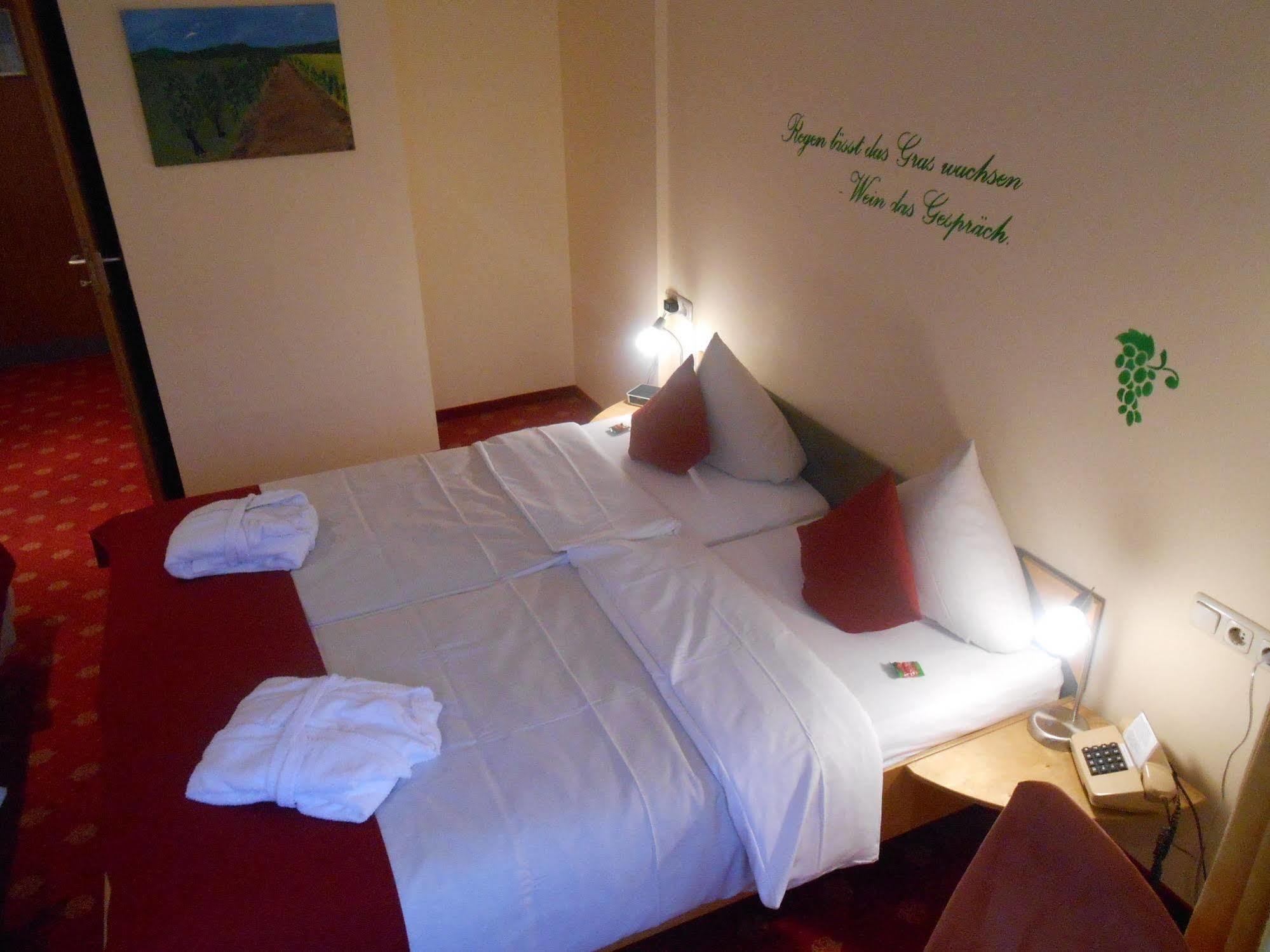 Muehlenthalers Park Hotel Konz Εξωτερικό φωτογραφία